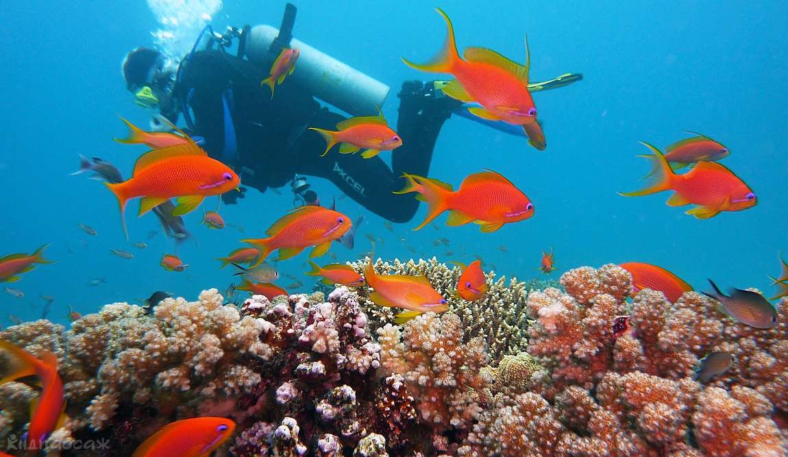 10 интересных фактов о египте фото 2