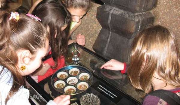 экскурсии для сладкоежек фото 3