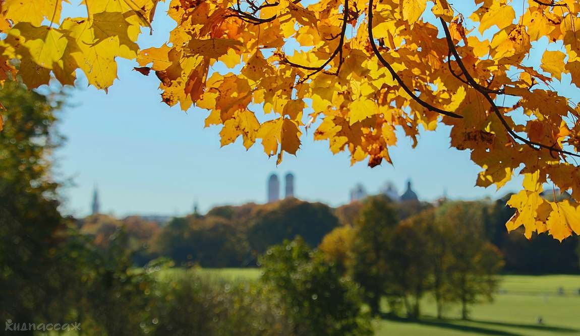 мюнхен в ноябре: баварская классика фото 2