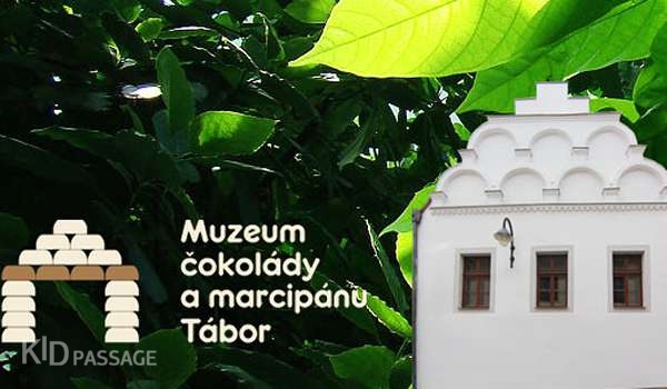 экскурсии для сладкоежек фото 8