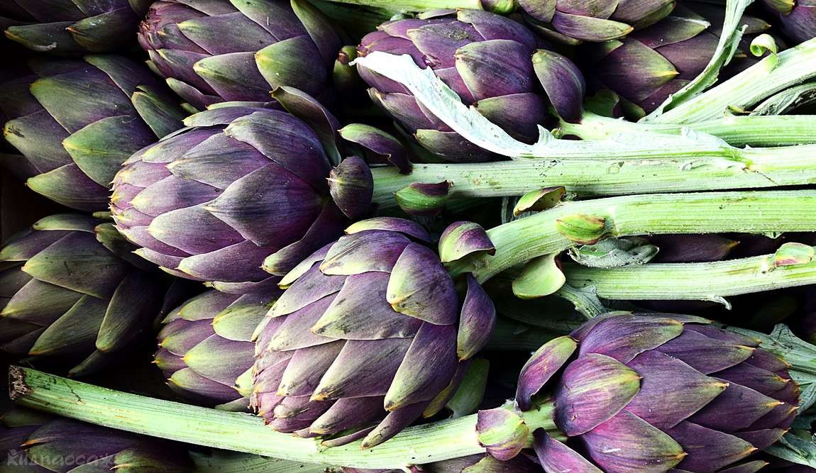 фрукты в турции фото 3