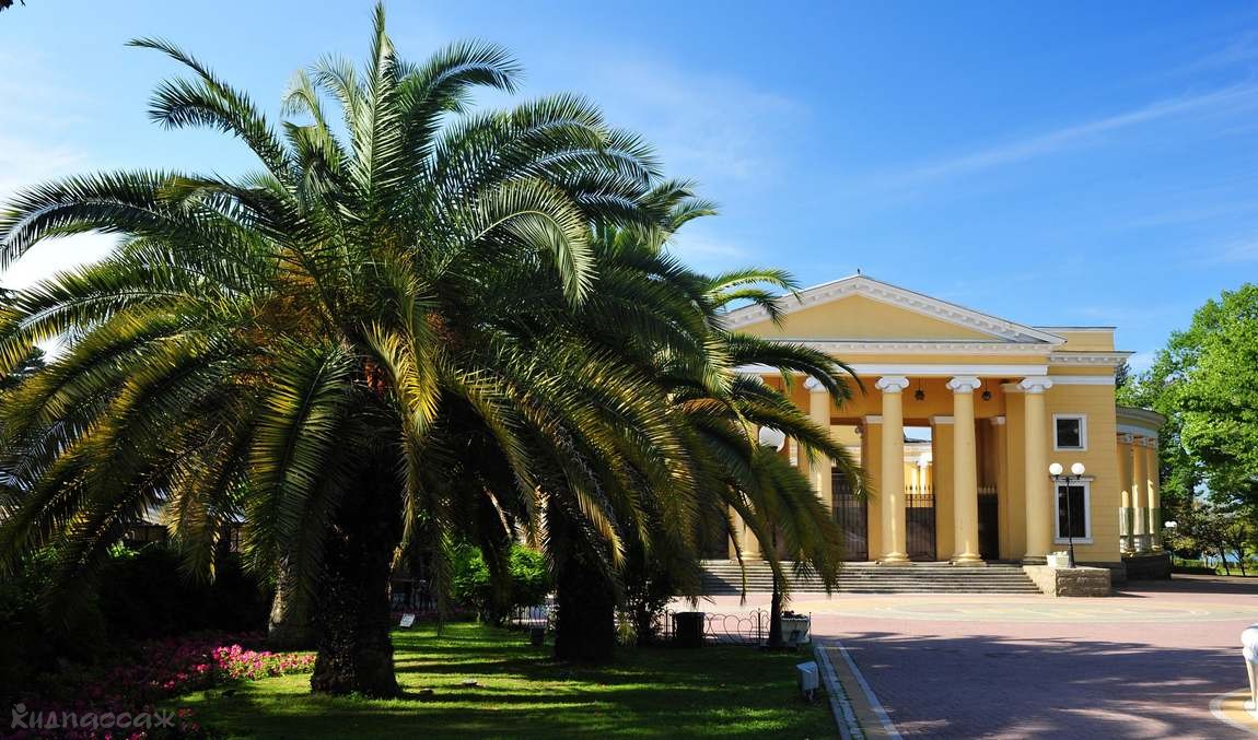 10 интересных фактов о сочи фото 2