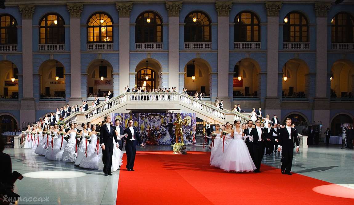 вена в январе ― музыка заснеженного камня фото 3