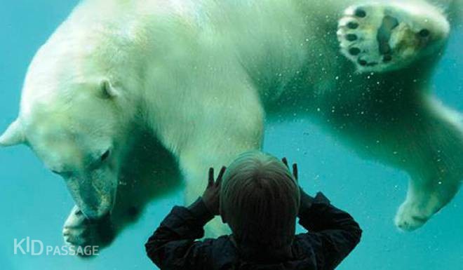 10 лучших зоопарков европы для ваших детей фото 8