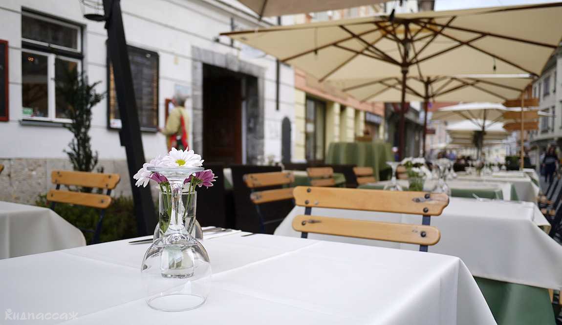 питание в словении: стоимость продуктов и еды фото 3