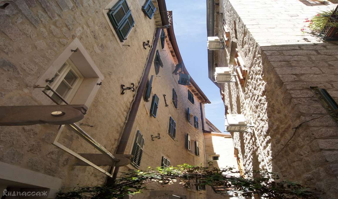 12 интересных фактов о черногории фото 3