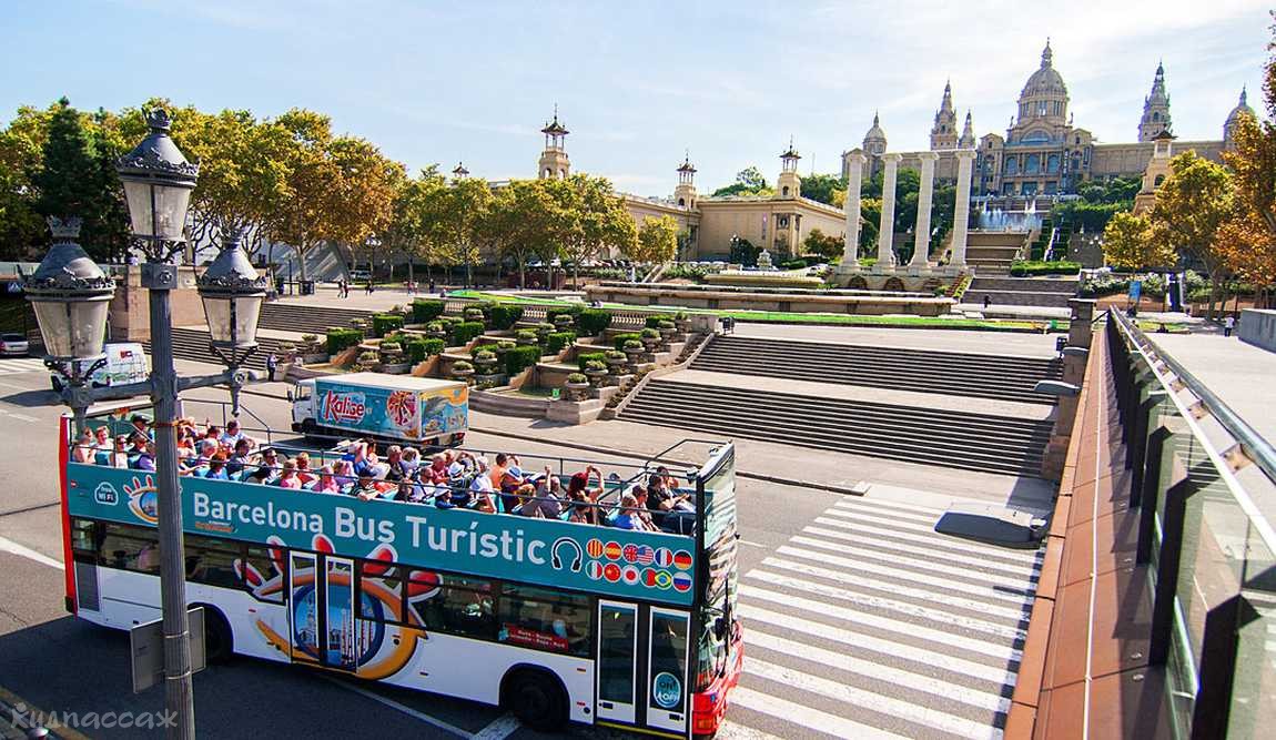 barcelona card: экономим время и деньги photo 1