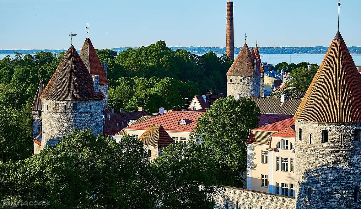 куда поехать на майские праздники с детьми. городские прогулки. фото 7
