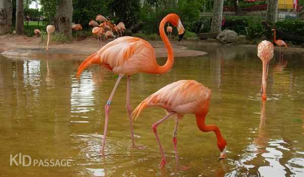 10 лучших зоопарков европы для ваших детей фото 10