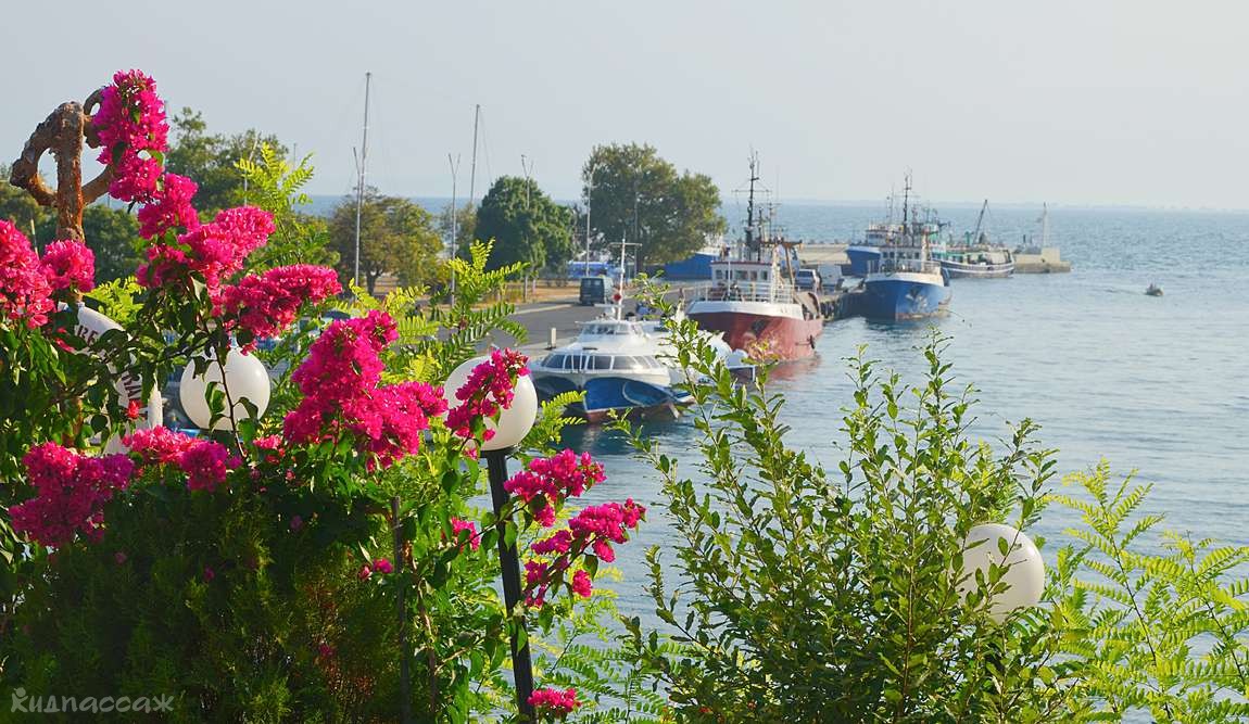 несебр в июне: первые краски лета фото 1