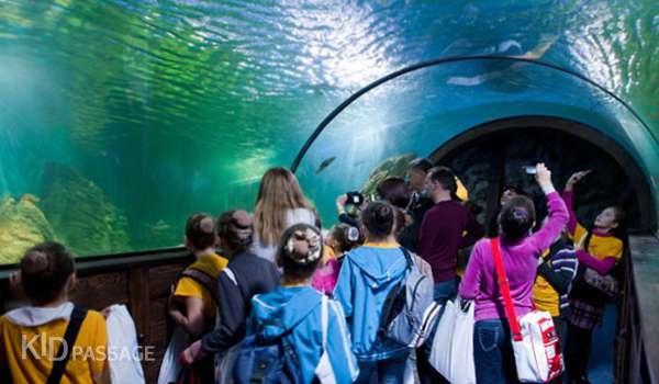 лучшие океанариумы и аквариумы россии фото 2