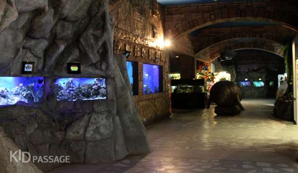 лучшие океанариумы и аквариумы россии фото 9