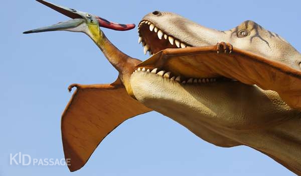 топ-10 интереснейших парков динозавров в европе фото 3