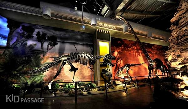 топ-10 интереснейших парков динозавров в европе фото 9