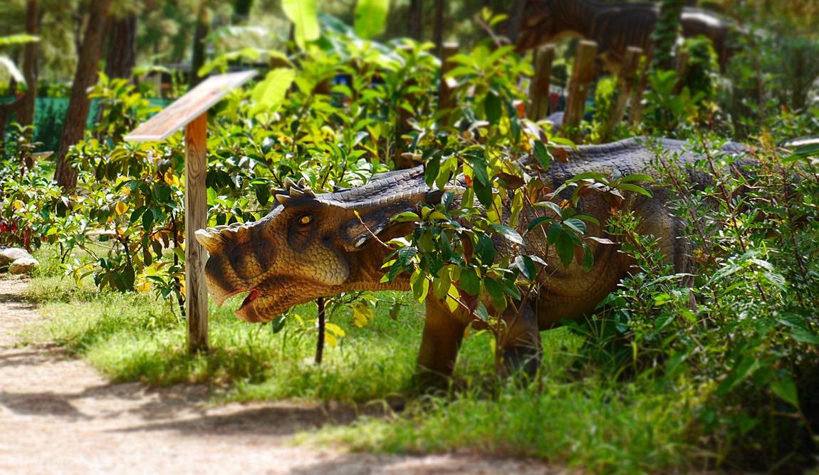 5 лучших развлечений для детей в кемере
