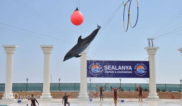 пять лучших развлечений для детей в аланье фото 5