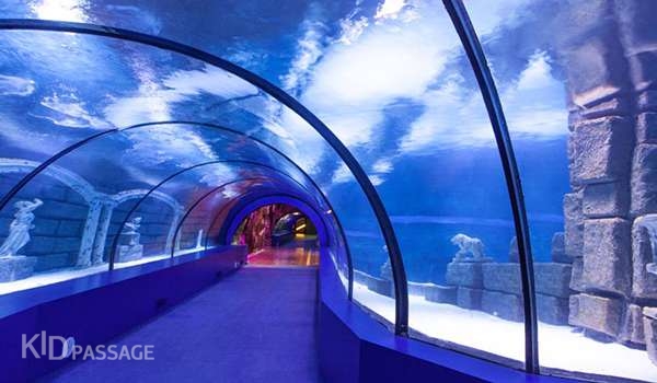 пять лучших развлечений для детей в анталье фото 3