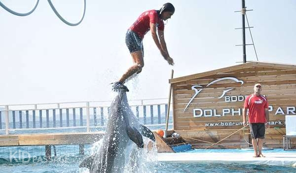 пять лучших развлечений для детей в бодруме фото 6