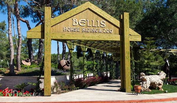 топ-5 развлечений для детей в белеке