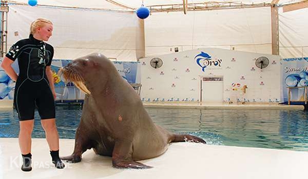 топ-5 развлечений для детей в белеке фото 3