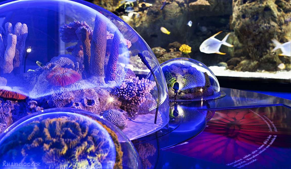 стамбул: 10 мест, которые впечатлят ваших детей фото 4