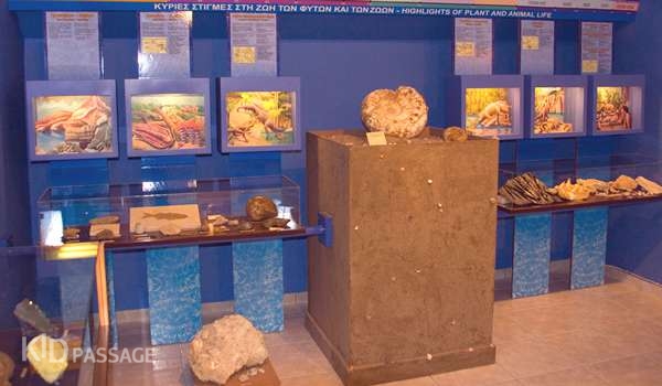 топ-5 семейных развлечений на острове закинф фото 3