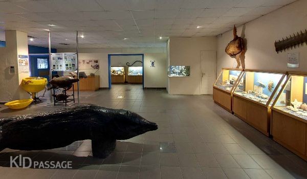 пять лучших семейных развлечений на родосе фото 3