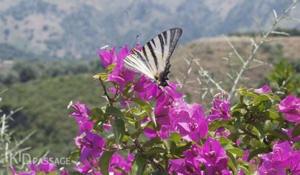 путешествие с детьми по западной части крита фото 7