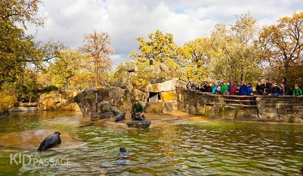 детские маршруты: берлин фото 3