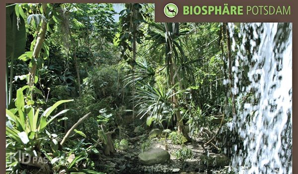 детские маршруты: берлин фото 6