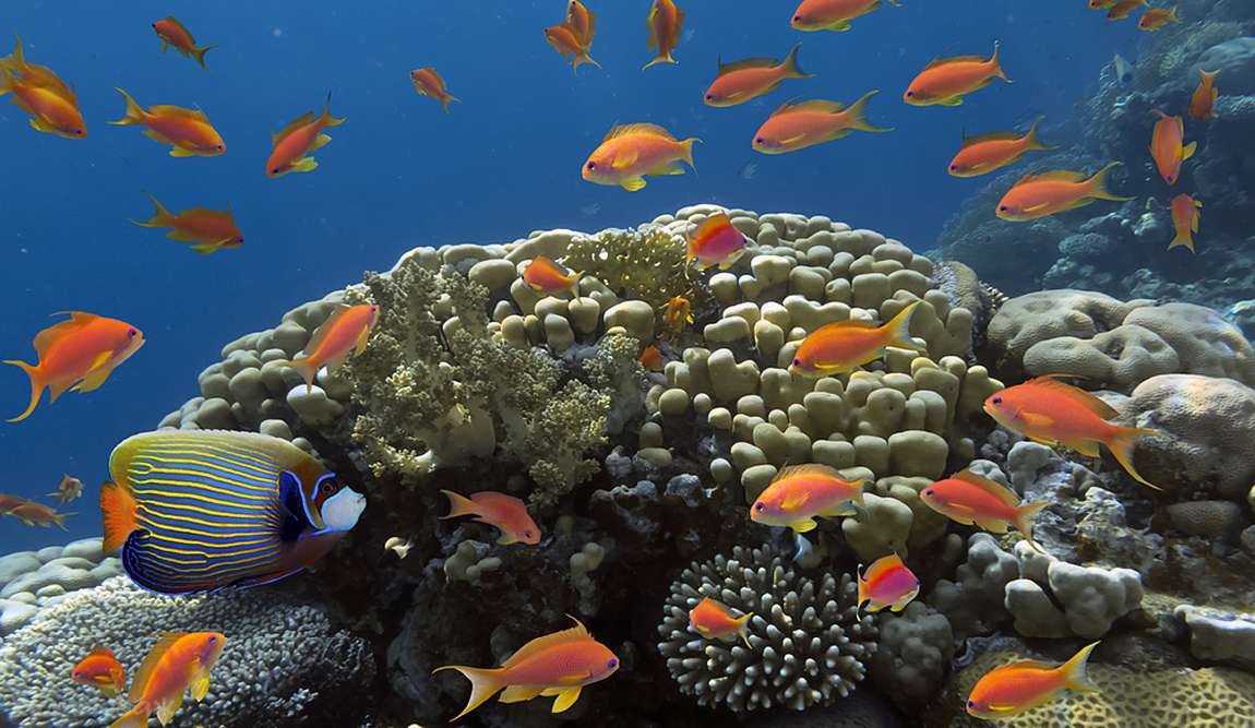 осенние каникулы. 7 идей для отдыха на море фото 7