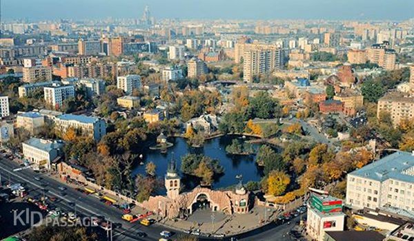 зверята и ребята: лучшие зоопарки россии