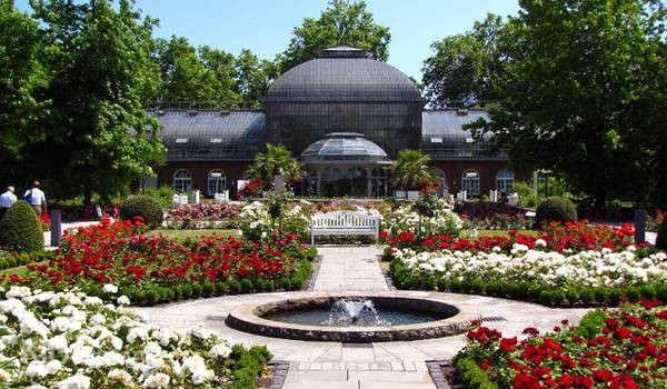 детские маршруты: франкфурт-на-майне фото 6