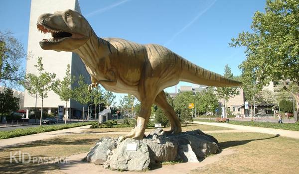 детские маршруты: франкфурт-на-майне фото 7