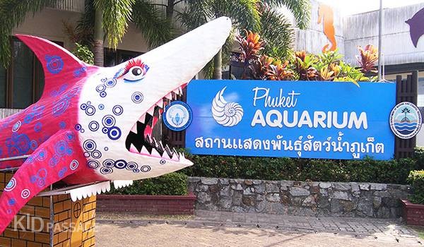 пять лучших детских развлечений на пхукете фото 2