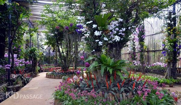 пять лучших детских развлечений на пхукете фото 3