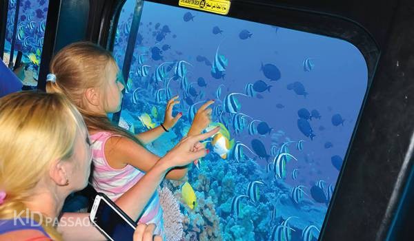 топ-5 экскурсий с детьми в шарм-эль-шейхе фото 4