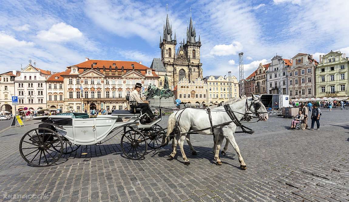 детские маршруты: прага