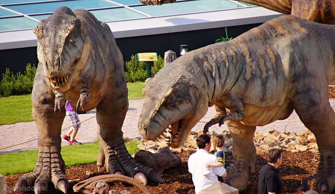 детские маршруты: прага фото 3