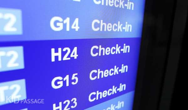 путешествуем с ребенком на самолете фото 2