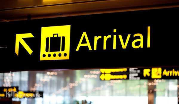 путешествуем с ребенком на самолете фото 4