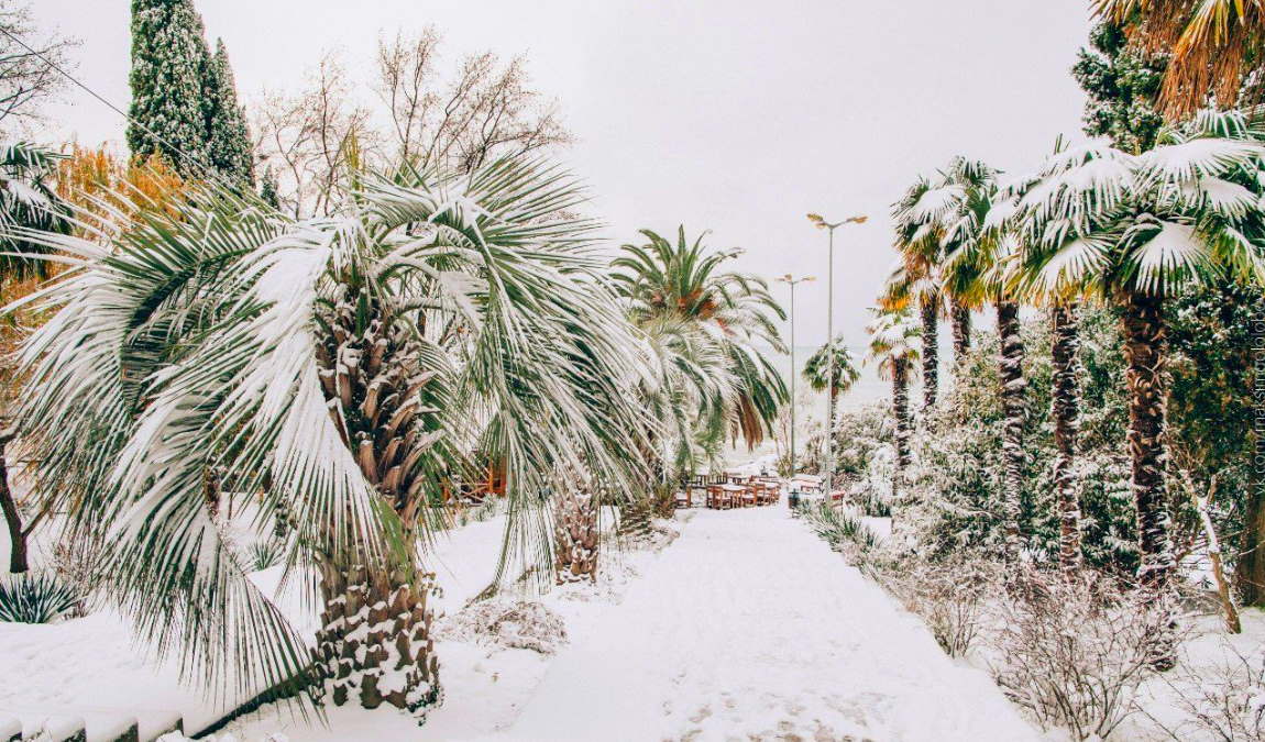 Адлер в январе: отдых и погода в Адлере (Россия)