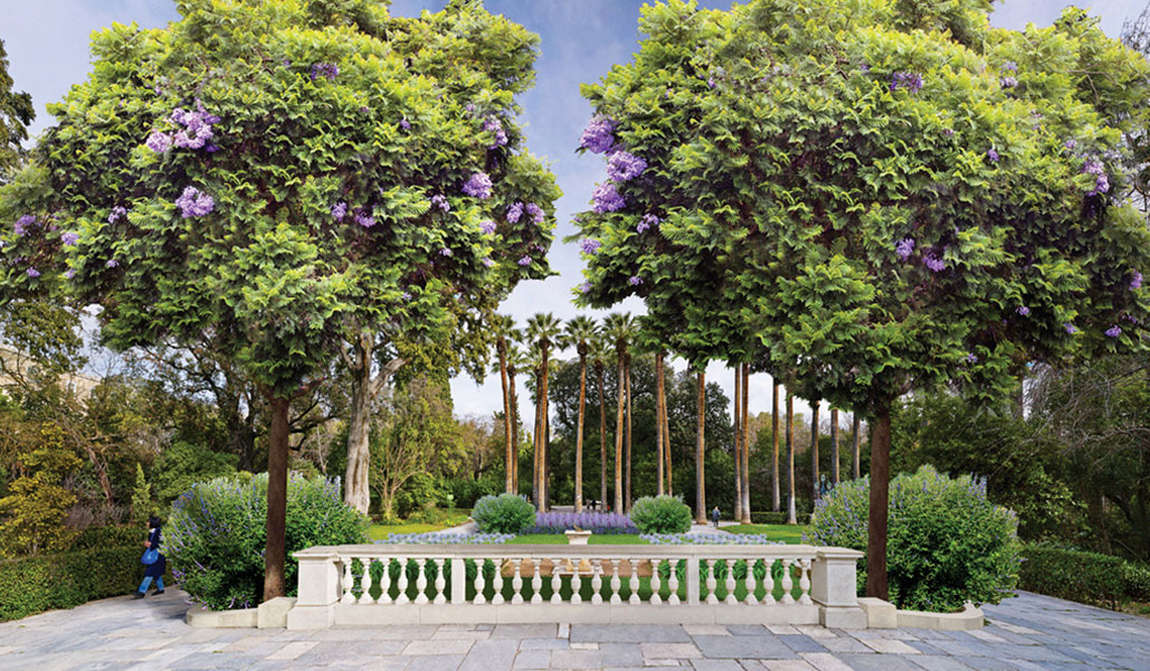 детские маршруты: афины фото 4