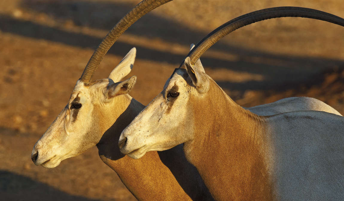 детские маршруты: афины фото 9