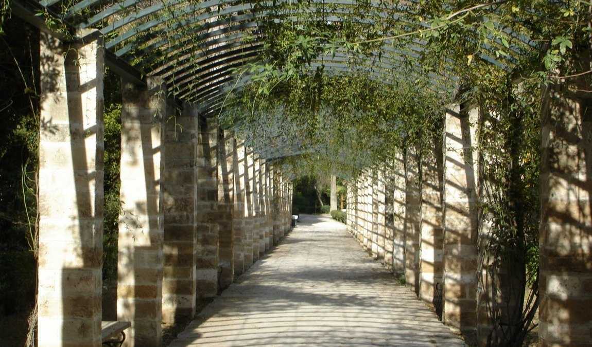 Национальный парк в Афинах