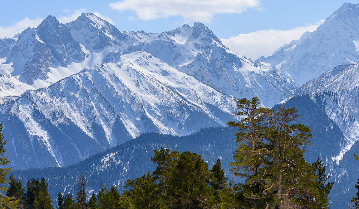 архыз в январе: зимняя сказка на кавказе фото 1
