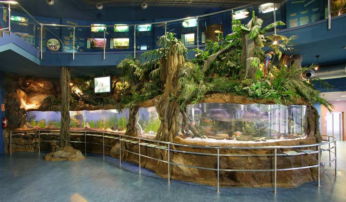 best places to visit in barcelona with kids in 7 days: your itinerary photo 4