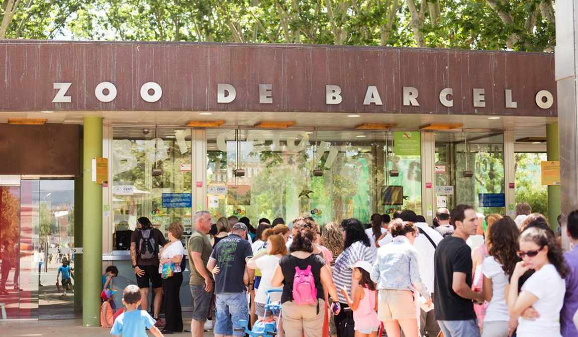 best places to visit in barcelona with kids in 7 days: your itinerary photo 2