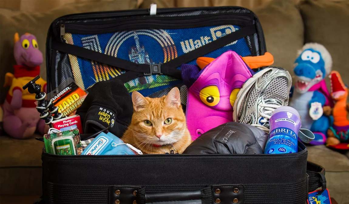 Что из одежды взять ребенку в ОАЭ: багаж для путешествия в сказочную страну