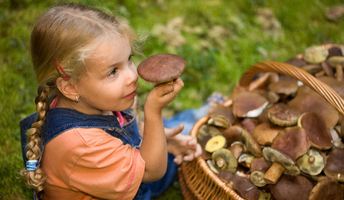 чем заняться осенью с детьми: 20 приятных семейных дел  фото 2